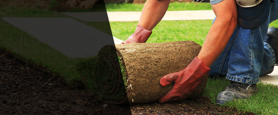 San Juan Landscapers